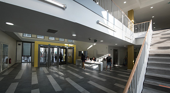 hall gai savoir